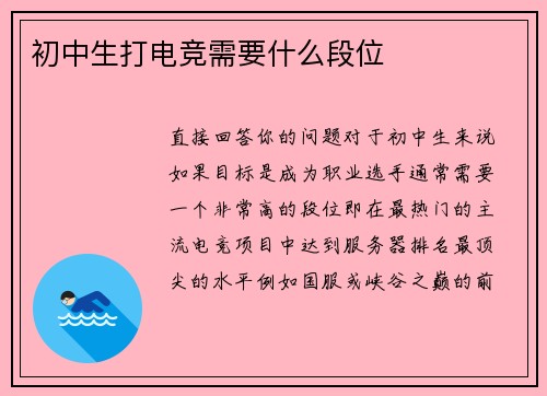 初中生打电竞需要什么段位